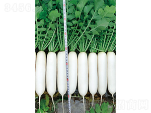 ��������-�}���N��-�����N�I