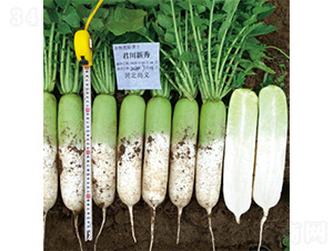 ��������-�}���N��-�����N�I