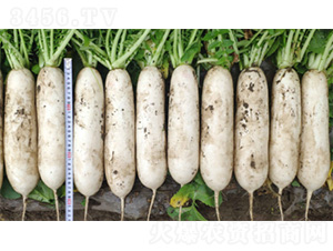 ������-�}���N��-�����N�I