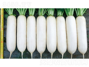 ����2̖-�}���N��-�����N�I