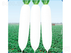 ��������-�}���N��-�����N�I