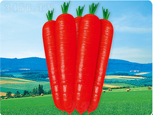 �V��3̖-���}���N��-�����N�I(y��)