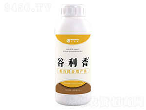 �����������a�-������-��٤�z