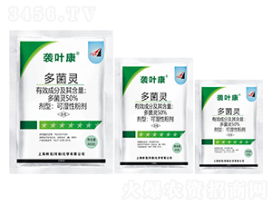 50%����`�ɝ��Էۄ�-�u�~��-����