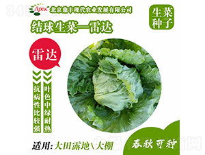 ���_-���˷N��-���S�r�I