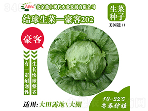 ����202-���˷N��-���S�r�I