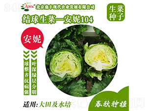 ����104-���˷N��-���S�r�I