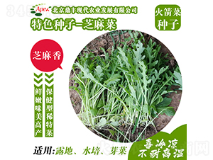 ֥���-����˷N��-���S�r�I