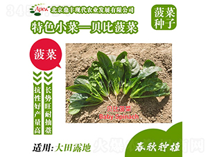 ؐ�Ȳ���-���˷N��-���S�r�I