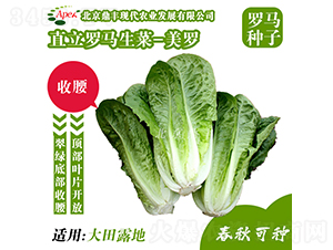 ���_-���˷N��-���S�r�I