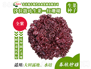 �tɺ��-���˷N��-���S�r�I