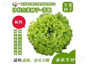 ����-���˷N��-���S�r�I