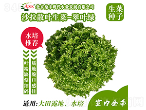 ���~�G-���˷N��-���S�r�I