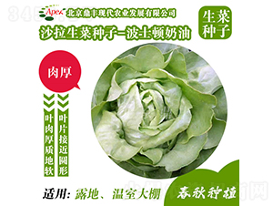 ��ʿ�D����-���˷N��-���S�r�I