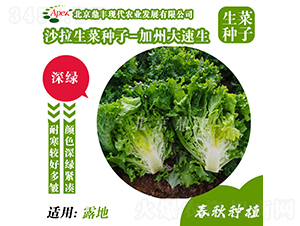 ���ݴ�����-���˷N��-���S�r�I