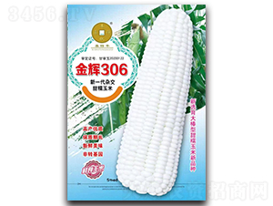 ���x306-���׷N��-�A��N�I(y��)