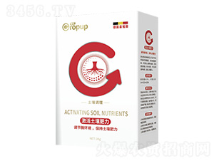 �����{����~���-���Z-�¶�����