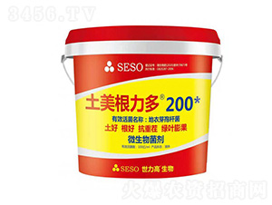 ����������-����������