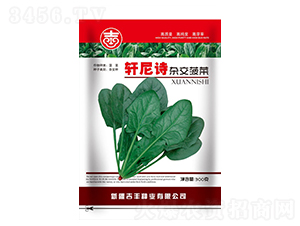 ܎��Ԋ�s������-���˷N��-���S�N�I