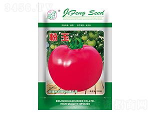 ����-���ѷN��-���S�N�I