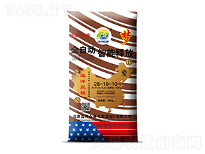 ����ጷœ������28-10-10-�h�󱊵�