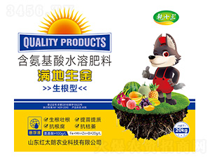 �M������-�����ͺ�������ˮ�ܷ���20kg-Ǭʮ��-�t̫���r�I