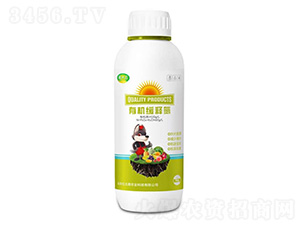 �ЙC��ጵ�-Ǭʮ��-�t̫���r�I