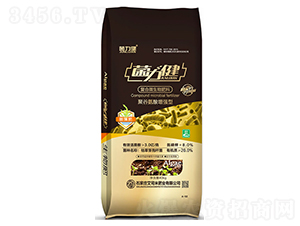 �۹Ȱ����͏ͺ�΢�����-������-��˾��