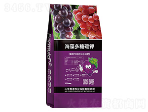 �������̼�-����-�׵��r�I