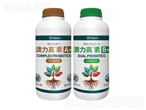 ��������A+B+-�W����