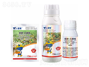 45%�塤������-�{؈�ǻ�