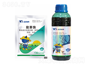 20%���ݿ�-�{؈�ǻ�