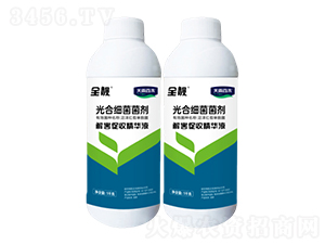 ��ϼ�������Һ�w-ȫ�n-����ٺ�