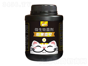 ΢�������-���Ҽ̖-��؈�r�I