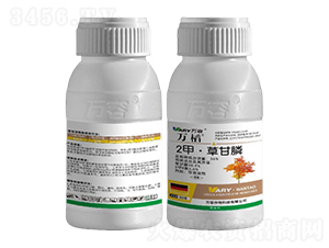 36%2�ס��ݸ��-�f�w-�f��