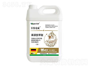 20%���ǰ�����-�f�ݻ���-�f��