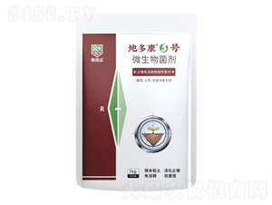 �����������A�ޏ̈́�-�ض࿵5̖-���_