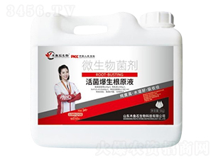 ���������ԭҺ-ľ�~ʯ