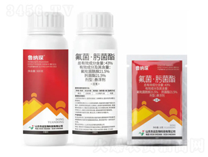 43%�������۾����Ҹ���-���{�-�|�h(yu��n)����