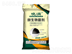 ΢�������-�ԝM-С�Mѭ�h�r�I