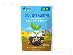 �ͺ�΢�������-�����̦