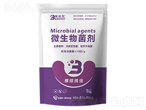 ���Y���x΢�������-��ʩ̩