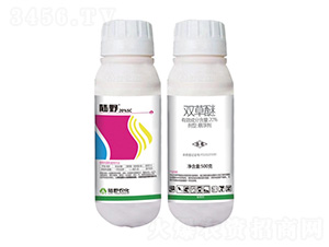 20%�p���ёҸ���-�Ұ�r��