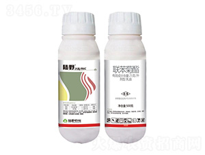 25��/������������-�Ұ�r��