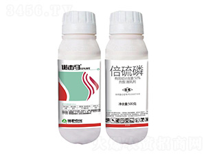 50%������΢�鄩-�Z���R-�Ұ�r��