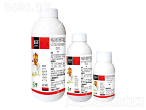 3%�װ������S���ر������}΢�鄩-������-���՘�