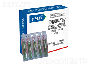 25��/���������-������-�t̫�