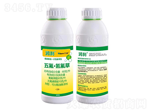 60��/������������-���x-�f��