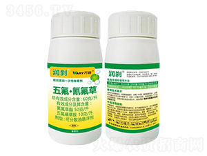 60��/������������300��-���x-�f��