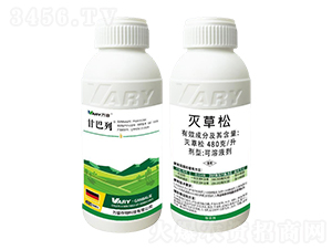 480��/�������-�ʰ���-�f��